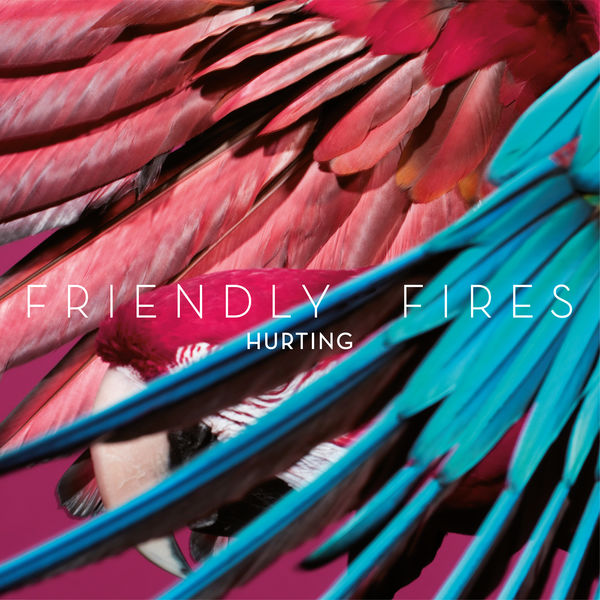 Friendly Fires - Hurting Friendly Fires - Hurting