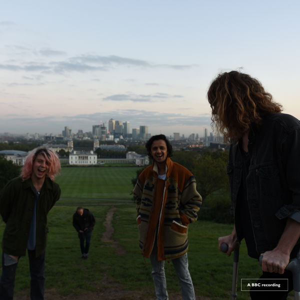 Mystery Jets|BBC Session (BBC Session)