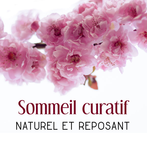 Oasis de sommeil|Sommeil curatif, Naturel et reposant - Calme et apaisante musique pour dormir, Zen sons de la nature, Traiter l'insomnie, Thérapie douces