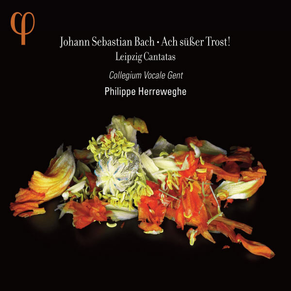 Philippe Herreweghe - Johann Sebastian Bach : Ach süßer Trost ! Philippe Herreweghe - Johann Sebastian Bach : Ach süßer Trost !