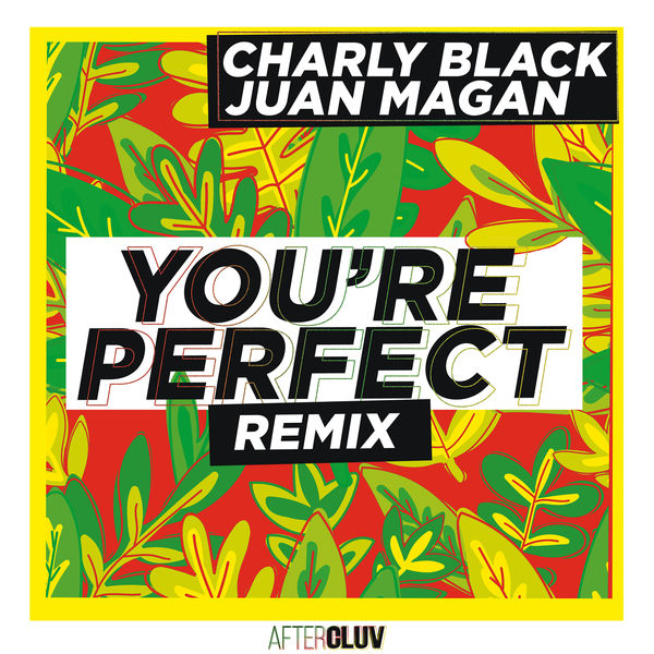 Charly Black|You're Perfect (Remix)