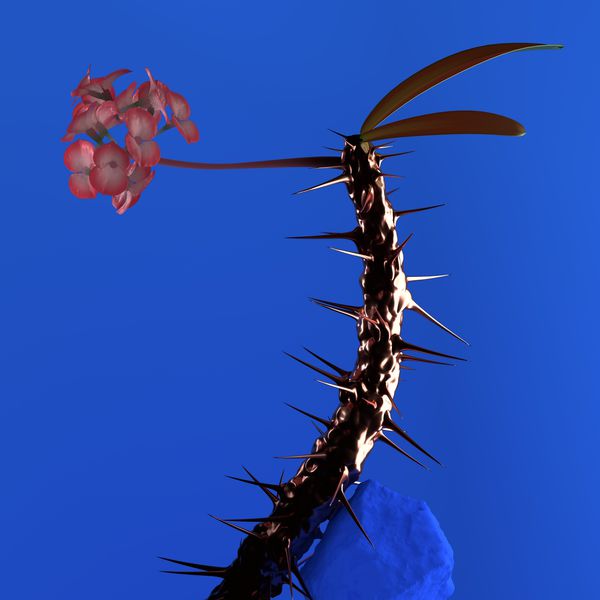 Flume|Skin Companion EP II