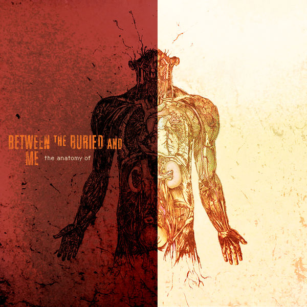 Between the Buried and Me - The Anatomy Of Between the Buried and Me - The Anatomy Of