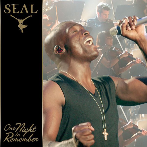 Seal|One Night to Remember (Live)