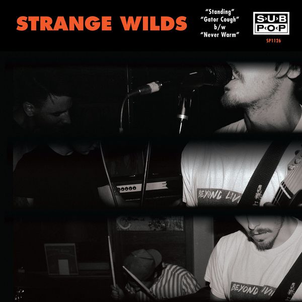 Strange Wilds|Standing Strange Wilds|Standing