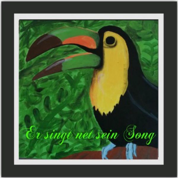 steindl christian|Er singt net sein Song steindl christian|Er singt net sein Song