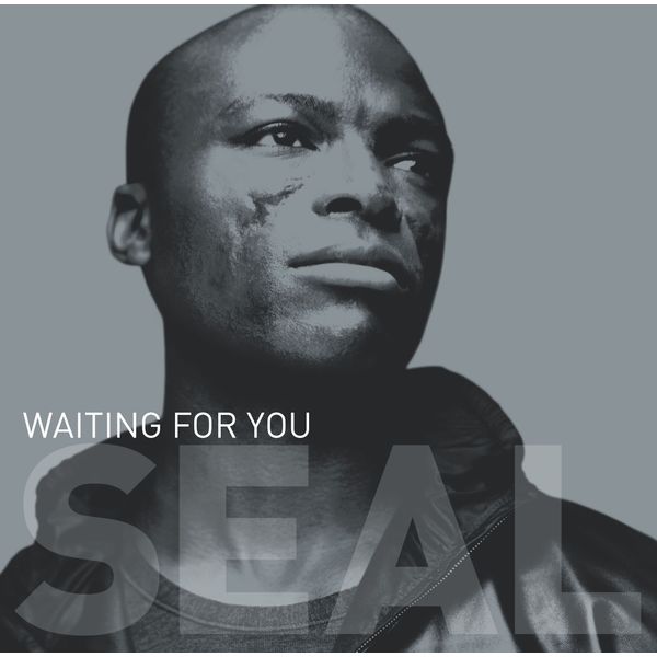 Seal - Waiting for You Seal - Waiting for You