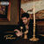 Drake Take Care