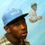 Tyler, The Creator Wolf