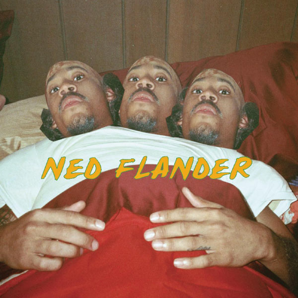Various Interprets - NY (Ned Flander) Various Interprets - NY (Ned Flander)