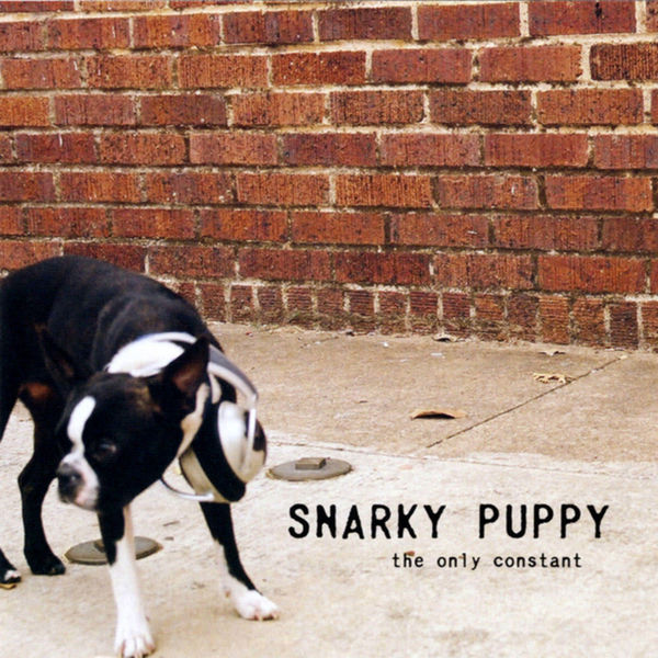 Snarky Puppy - The Only Constant Snarky Puppy - The Only Constant