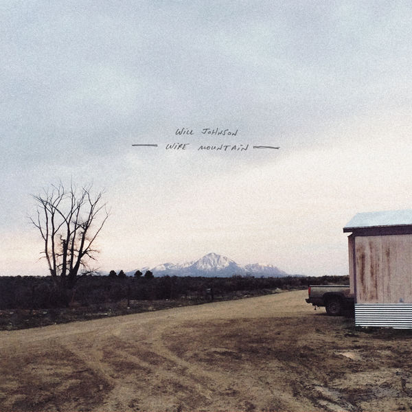 Will Johnson|Wire Mountain   (Wire Mountain)