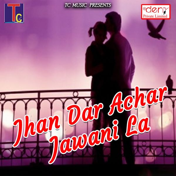 Various Artists - Jhan Dar Achar Jawani La Various Artists - Jhan Dar Achar Jawani La