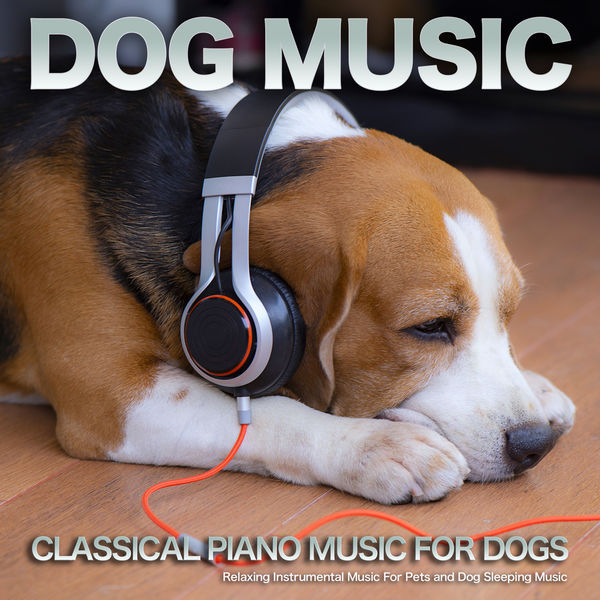 Dog Music - Dog Music: Classical Piano Music For Dogs, Relaxing Instrumental Music For Pets and Dog Sleeping Music Dog Music - Dog Music: Classical Piano Music For Dogs, Relaxing Instrumental Music For Pets and Dog Sleeping Music
