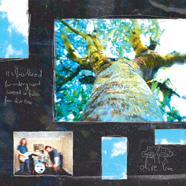 Cosmopaark|Olive Tree Cosmopaark|Olive Tree