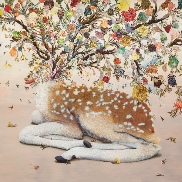 Baum - Les berceaux Baum - Les berceaux