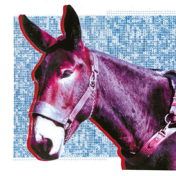 Protomartyr - Ultimate Success Today Protomartyr - Ultimate Success Today