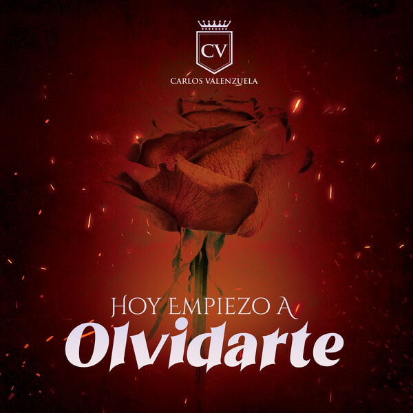 HOY EMPIEZO A OLVIDARTE, Carlos Valenzuela - Qobuz