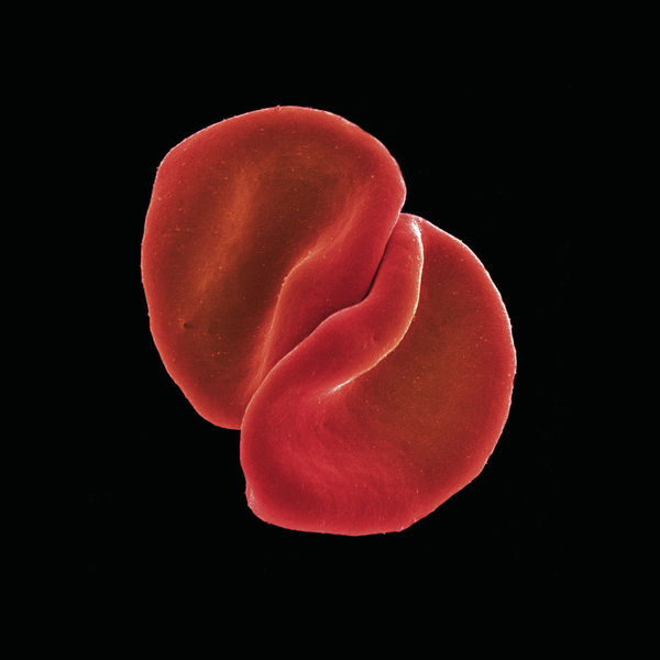 Peter Gabriel - Scratch My Back (Special Edition) Peter Gabriel - Scratch My Back (Special Edition)