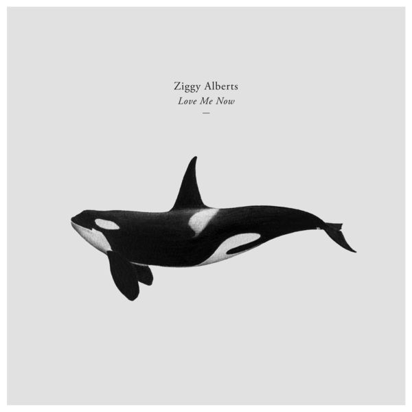 Ziggy Alberts - Love Me Now Ziggy Alberts - Love Me Now