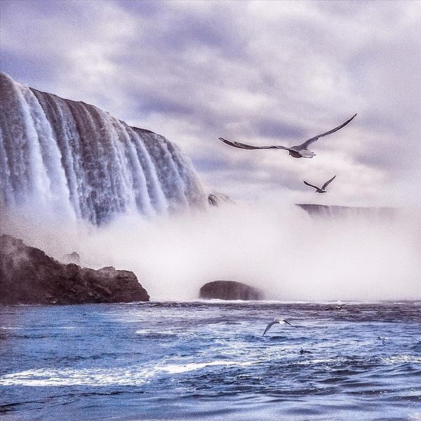 Jonathan Galland|Mystical Quest Jonathan Galland|Mystical Quest