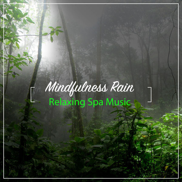 calming rainforest sounds, Rainfall for Sleep, Rain Sounds Factory STHLM|15 Mindfulness Rain and Nature Sounds - Relaxing Spa Music