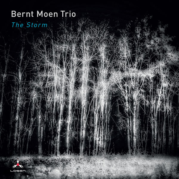 Bernt Moen Trio|The Storm