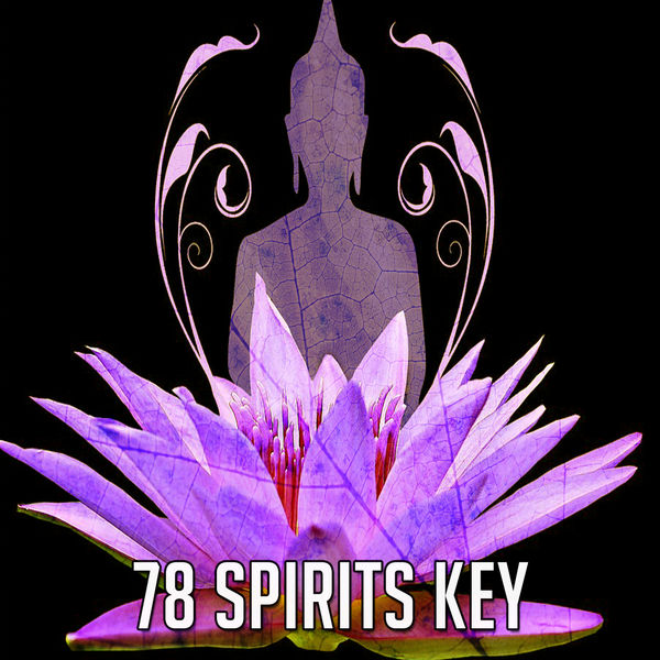 Exam Study Classical Music Orchestra - 78 Spirits Key Exam Study Classical Music Orchestra - 78 Spirits Key