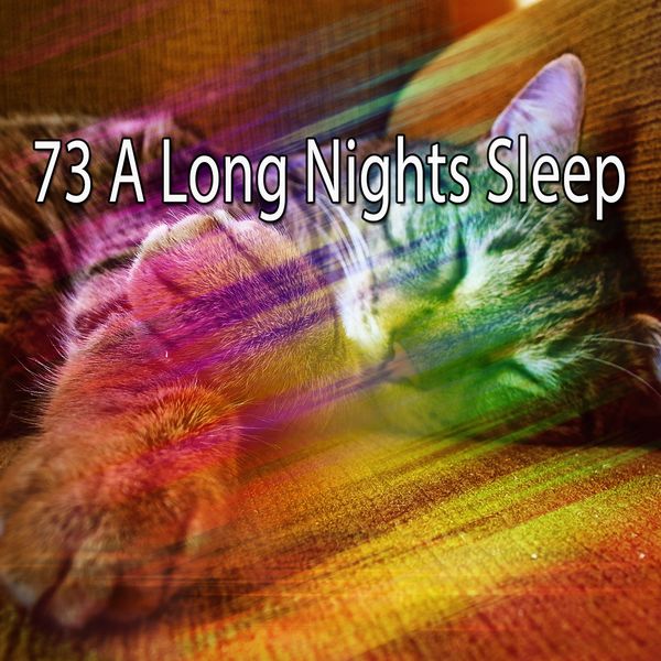 All Night Sleeping Songs to Help You Relax|73 A Long Nights Sleep