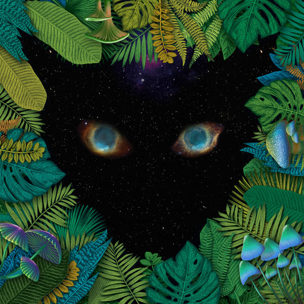 MNGWA - The Strange One MNGWA - The Strange One
