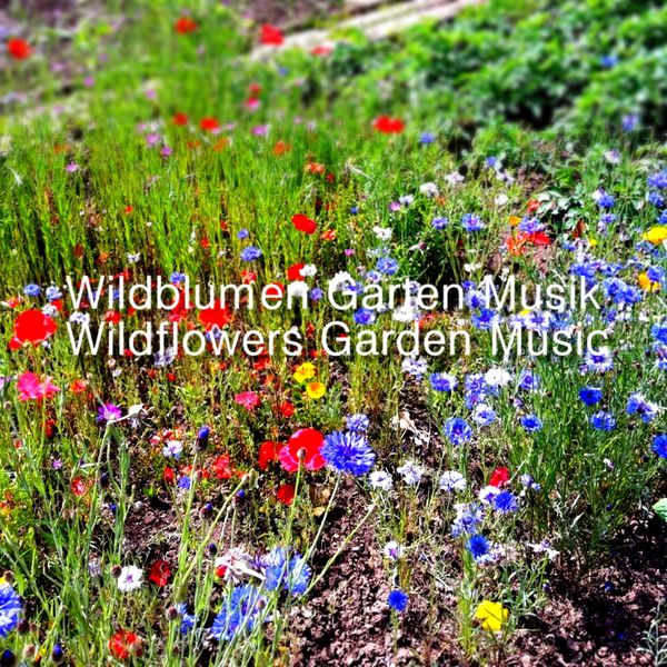 Various Artists - Wildblumen Garten Musik Various Artists - Wildblumen Garten Musik