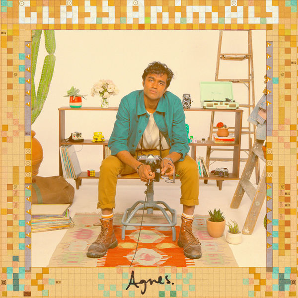 Glass Animals|Agnes (Radio Edit)