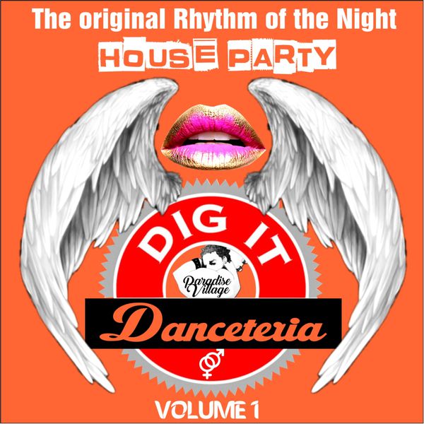 Various Artists|Danceteria Dig-It - Volume 1 - The Original Rhythm of the Night - House Party (House Groovin')