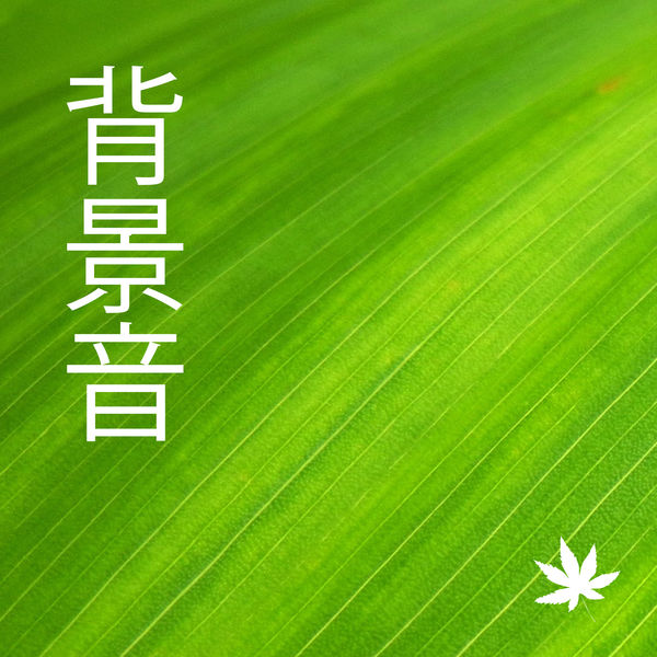 Album 背景音 自然の音 快眠ストレス解消 癒し音楽 De 自然の音 Star Qobuz Telechargez Et Streamez En Haute Qualite