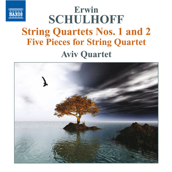 Aviv Quartet - Musique pour quatuor à cordes Aviv Quartet - Musique pour quatuor à cordes
