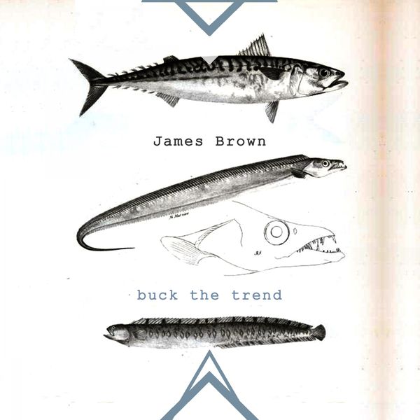 James Brown - Buck The Trend James Brown - Buck The Trend