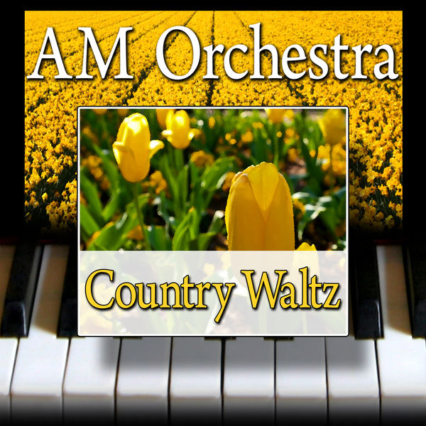 AM Orchestra - Country Waltz AM Orchestra - Country Waltz