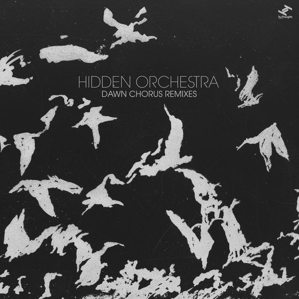 Hidden Orchestra - Dawn Chorus Hidden Orchestra - Dawn Chorus