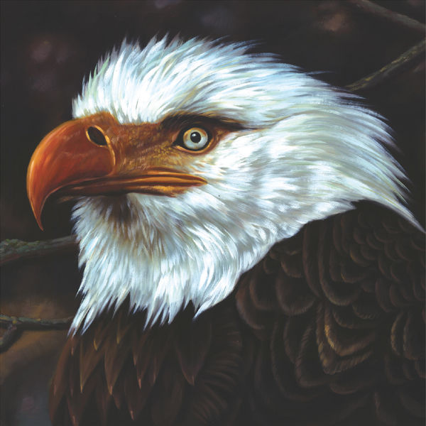 Mogwai|The Hawk Is Howling Mogwai|The Hawk Is Howling