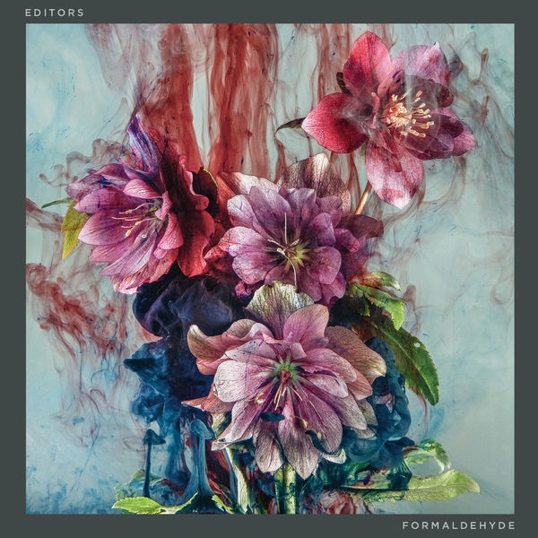 Editors - Formaldehyde Editors - Formaldehyde