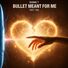 Shanie T Bullet Meant For Me