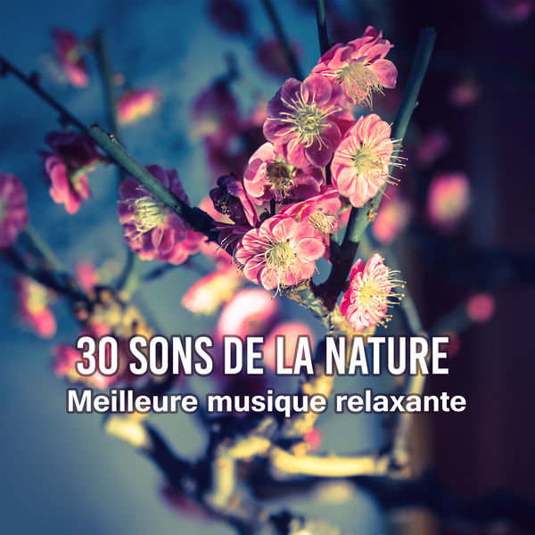 Zone de Détente|30 Sons de la nature