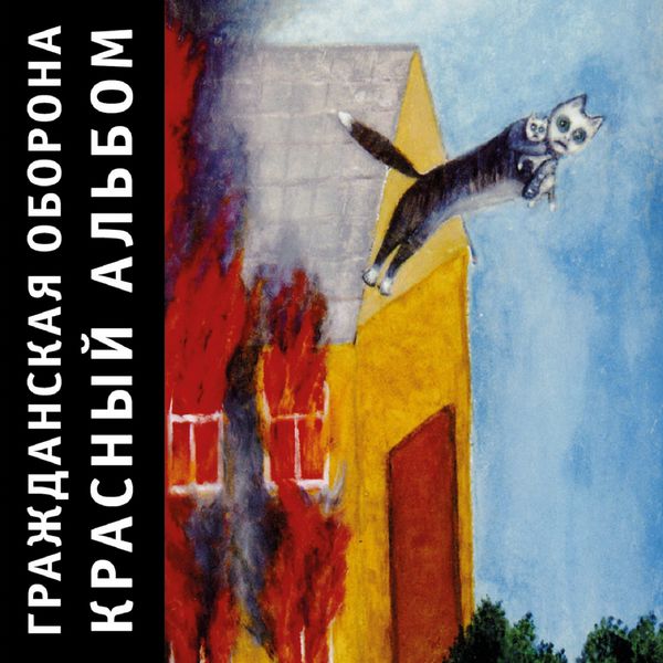 Provimed �� ������� ������: ����.