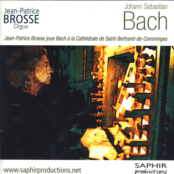 Jean-Patrice Brosse|Orgue De La cathédrale De Saint Bertrand De Comminges