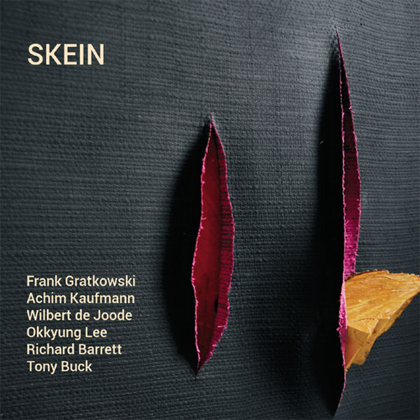 Achim Kaufmann - Skein Achim Kaufmann - Skein
