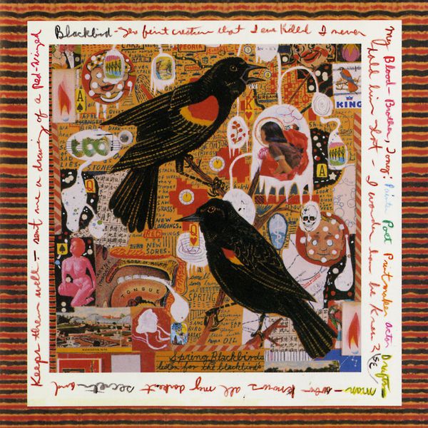 Steve Earle - Just an American Boy (Live) Steve Earle - Just an American Boy (Live)