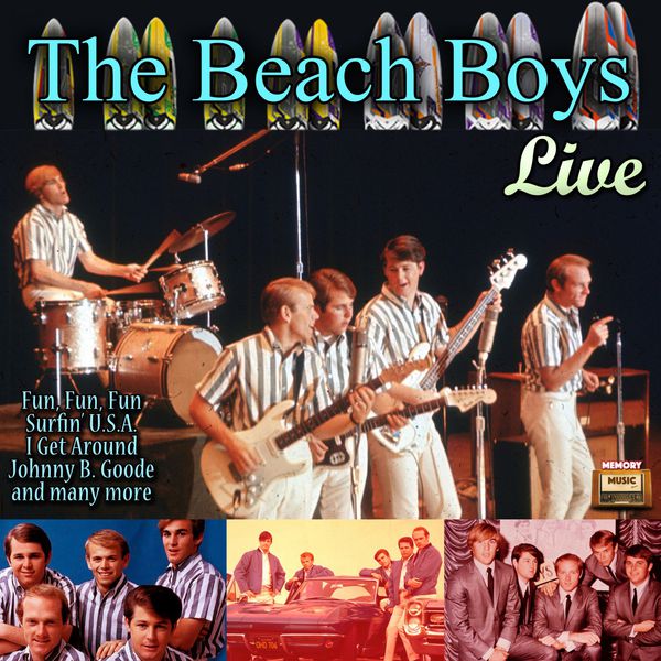 The Beach Boys Live And Listen To Al The Beach Boys Live