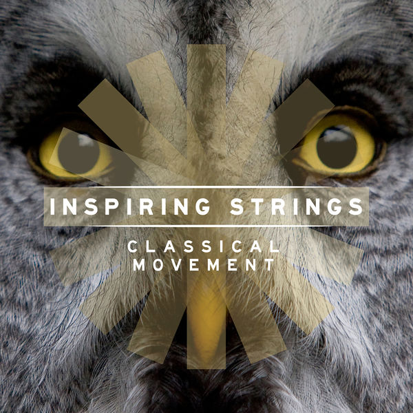 Tom Howe|Inspiring Strings: Classical Movement