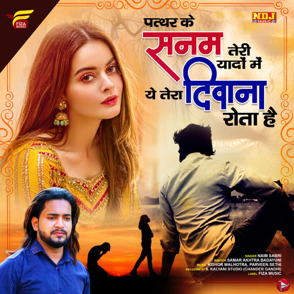 main tera deewana tu meri maharaja mp3 1998