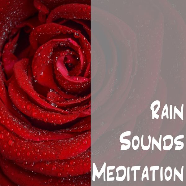 Rain Sounds - Rain Sounds Meditation Rain Sounds - Rain Sounds Meditation